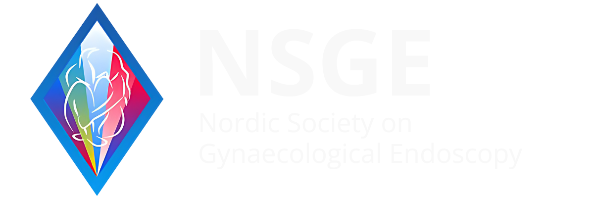 NSGE 